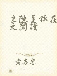 良陈美锦在线全文阅读