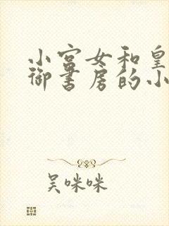 小宫女和皇上在御书房的小说叫什么