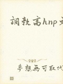 调教高hnp文