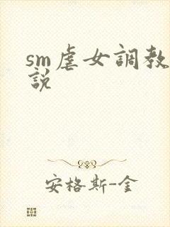 sm虐女调教小说封面