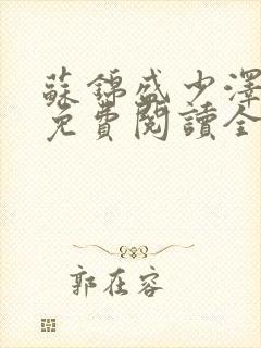 苏锦盛少泽小说免费阅读全文封面