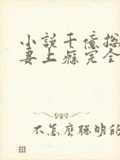 小说千亿总裁宠妻上瘾完全版