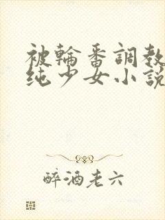 被轮番调教的清纯少女小说封面