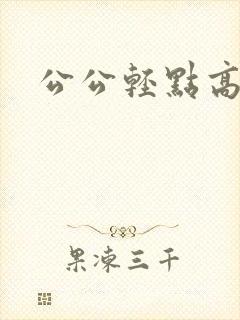 公公轻点高h
