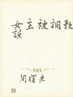 女主被调教的小说封面