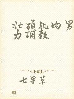 壮硕肌肉男被暴力调教封面