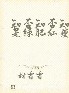 知否知否知否应是绿肥红瘦全集免费观看