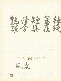 艳情短篇辣文小说合集在线阅读