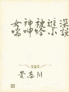 女神被进深处娇喘呻吟小说封面