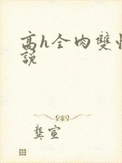 高h全肉双性小说