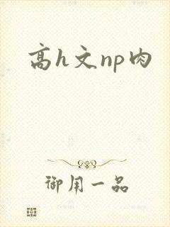高h文np肉