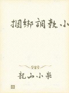 捆绑调教小直男