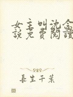 女主叫沈念的小说免费阅读全文