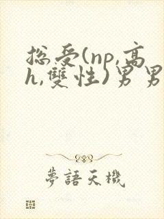总受(np,高h,双性)男男