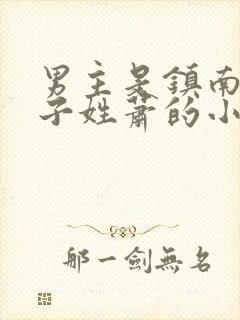 男主是镇南王世子姓萧的小说