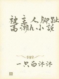 被主人脚趾玩到高潮h小说