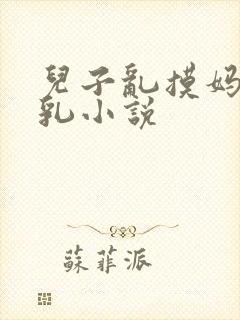 儿子乱摸妈妈大乳小说
