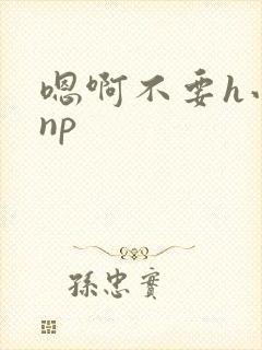 嗯啊不要h小说np封面