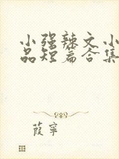 小强辣文小说精品短篇合集