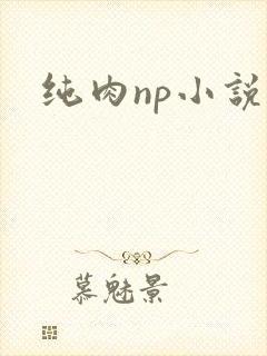 纯肉np小说h
