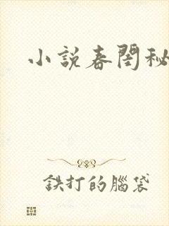 小说春闺秘史