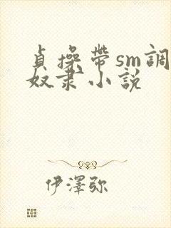 贞操带sm调教奴隶小说