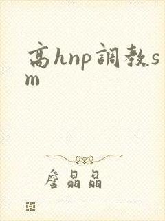 高hnp调教sm封面