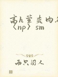 高h荤爽肉欲文〈np〉sm封面