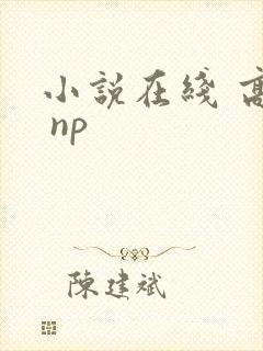 小说在线 高h np封面