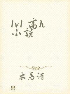 1v1 高h 小说