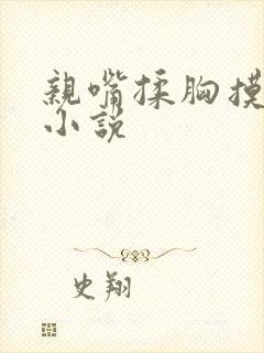 亲嘴揉胸摸屁股小说封面