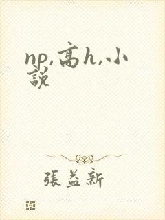 np,高h,小说