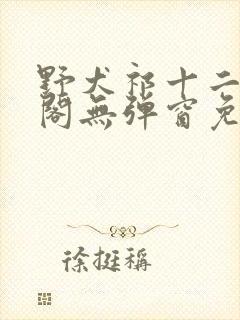 野犬祁十二笔趣阁无弹窗免费阅读