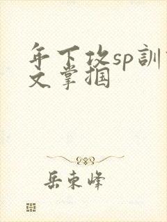年下攻sp训诫文掌掴封面