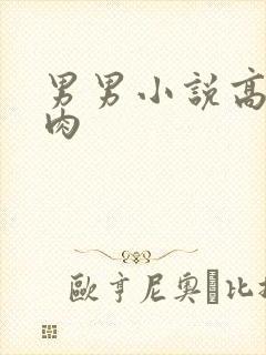 男男小说高h纯肉