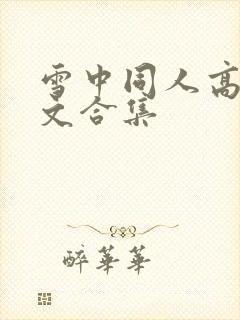 雪中同人高辣h文合集封面