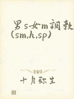 男s女m调教文(sm,h,sp)