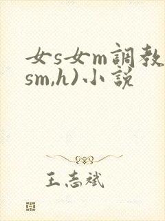 女s女m调教(sm,h)小说