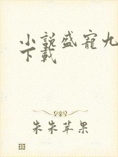 小说盛宠九皇妃下载封面