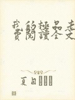 我的极品老婆免费阅读全文小说