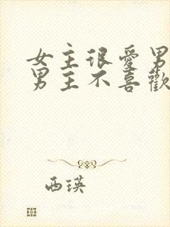 女主很爱男主但男主不喜欢她的小说