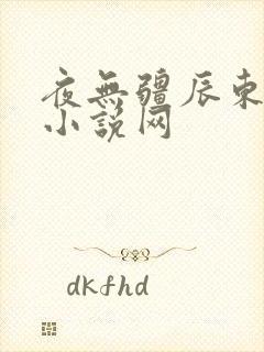 夜无疆辰东顶点小说网