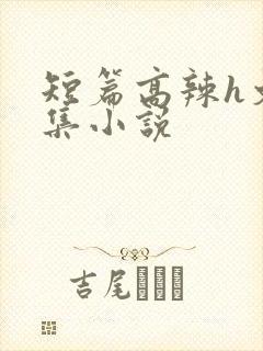 短篇高辣h文合集小说