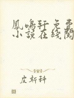 凤鸣轩免费言情小说在线阅读