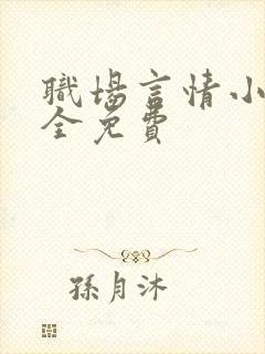 职场言情小说大全免费