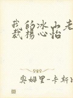 我的冰山老婆总裁杨心怡