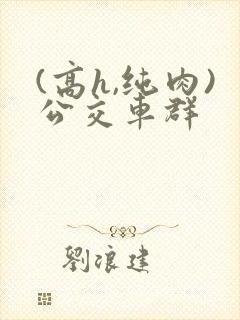 (高h,纯肉)公交车群