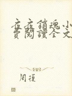 夜夜销魂小说免费阅读全文