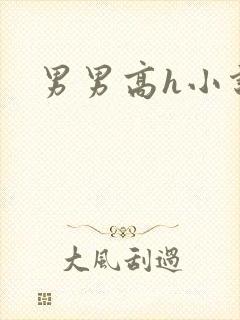 男男高h小说文封面