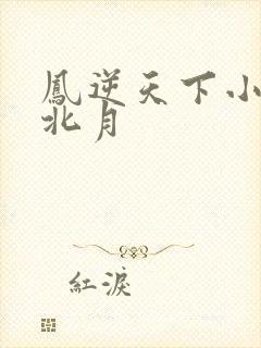 凤逆天下小说凰北月